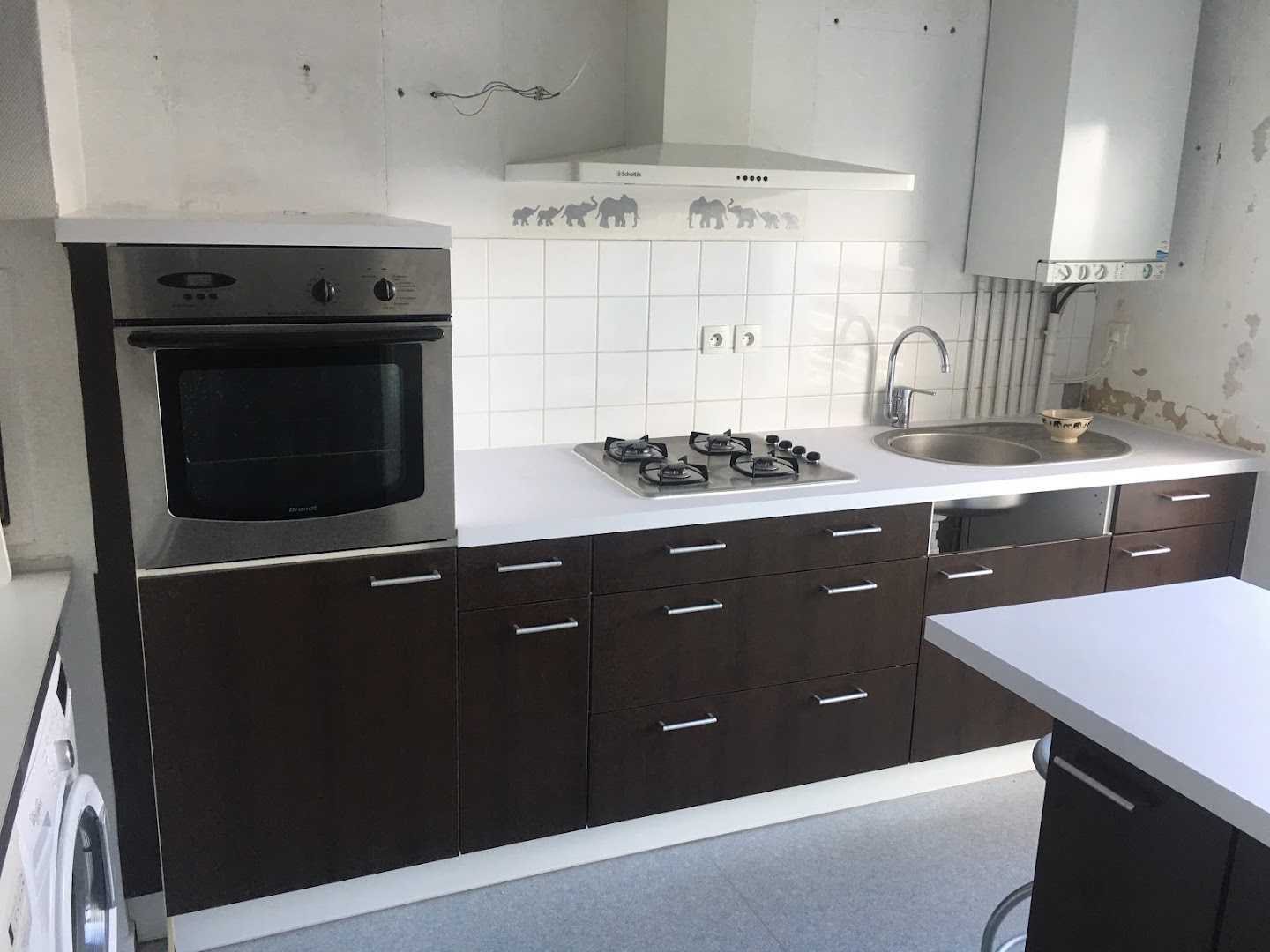 ELPS HABITAT — Photos 9